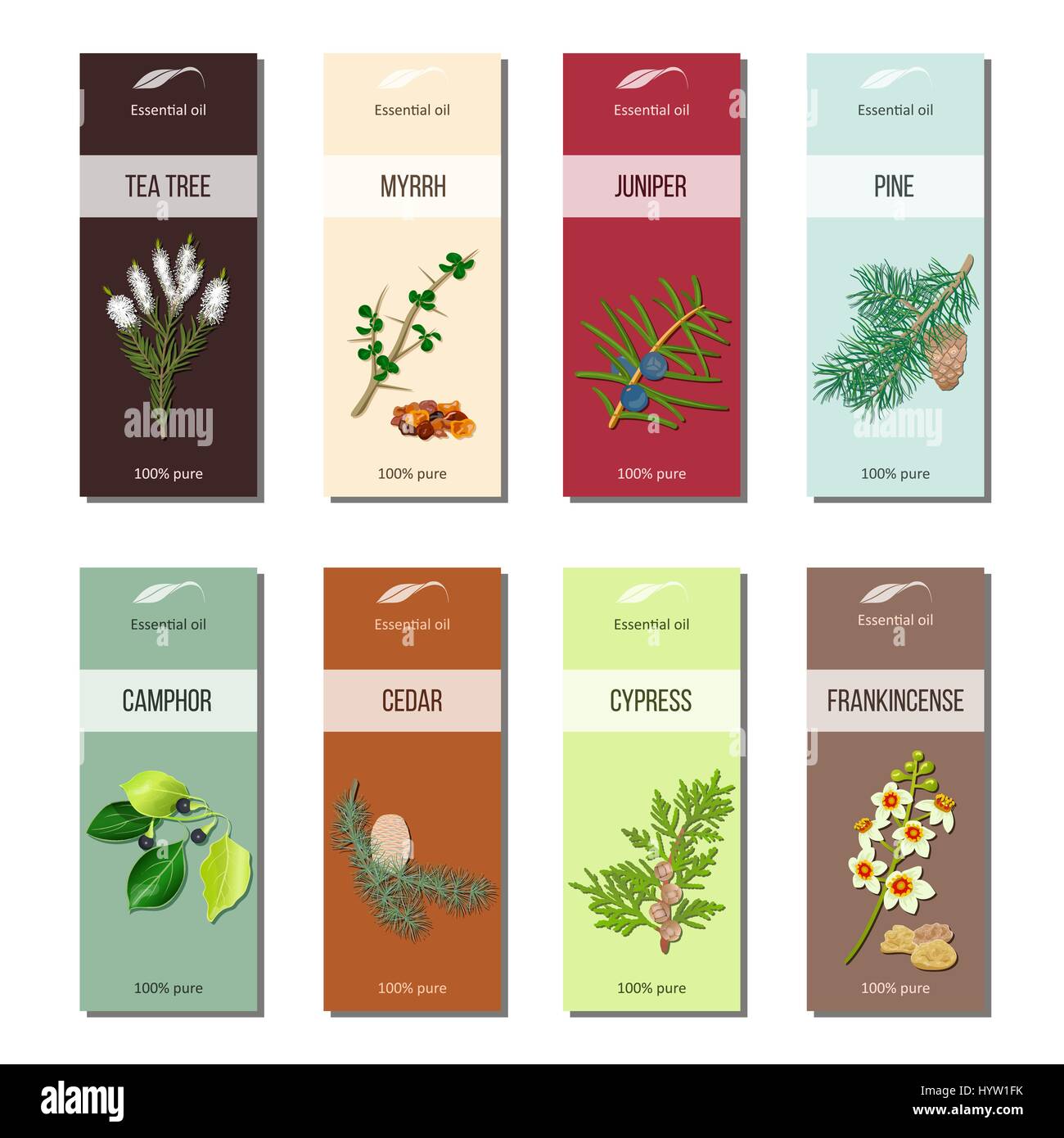 Essential oil labels set. Tea tree, myrrh, juniper, pine , cinnamon, camphor, cedar, cypress, frankincense 8 stripes collection For cosmetics perfume  Stock Vector