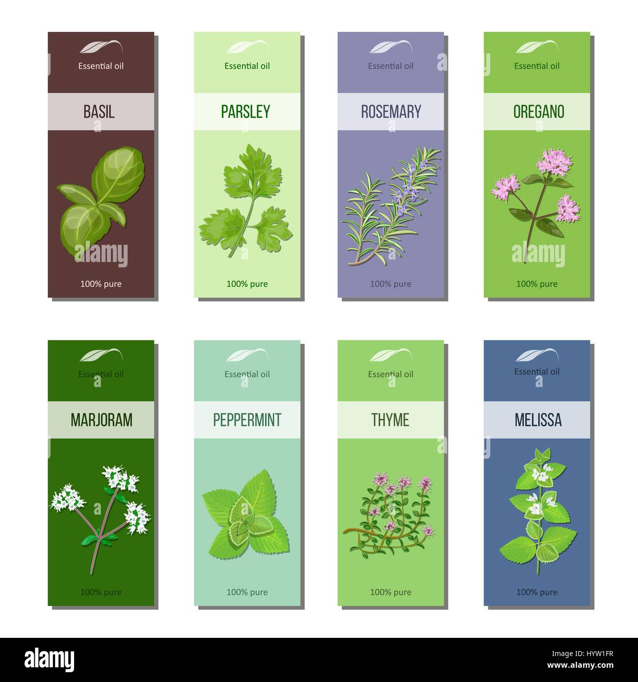 Essential oil labels set. Basil, parsley, rosemary, oregano, marjoram, peppermint, melissa, thyme 8 stripes collection For cosmetics perfume health ca Stock Vector