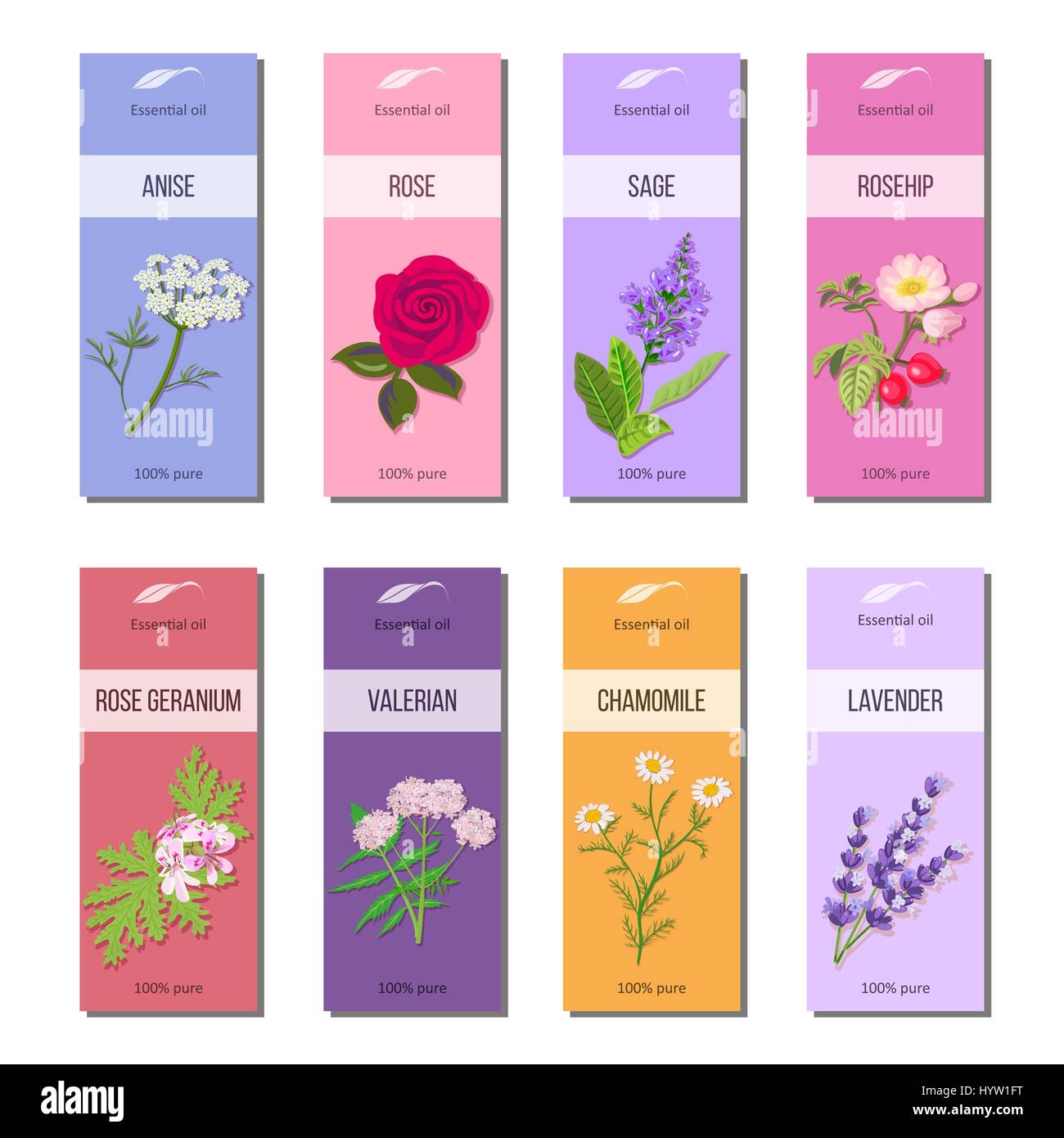Essential oil labels set. Rose, anise, sage, rosehip, Lavender, rose Geranium, Chamomile, Valerian herb. 8 stripes collection For cosmetics perfume he Stock Vector