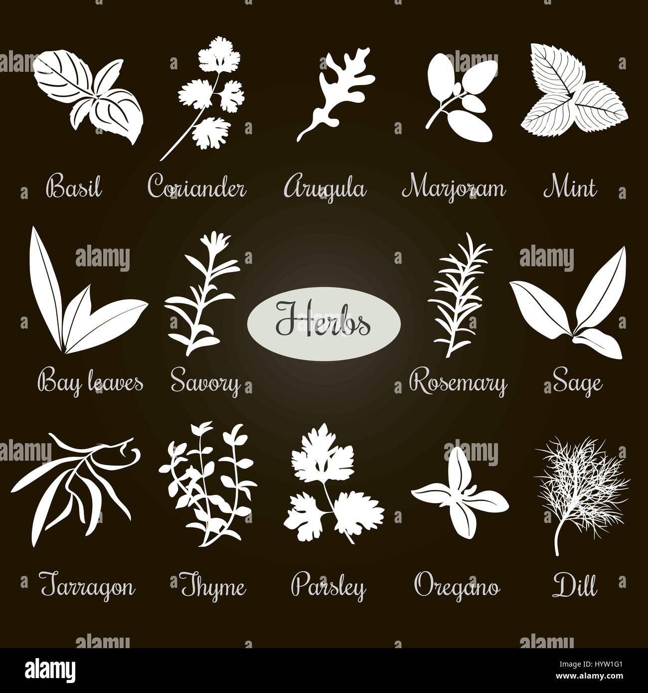 Big vector set of popular culinary herbs White silhouettes. Basil, coriander, arugula, marjoram, mint, bay leaves, savory, rosemary, sage tarragon thy Stock Vector