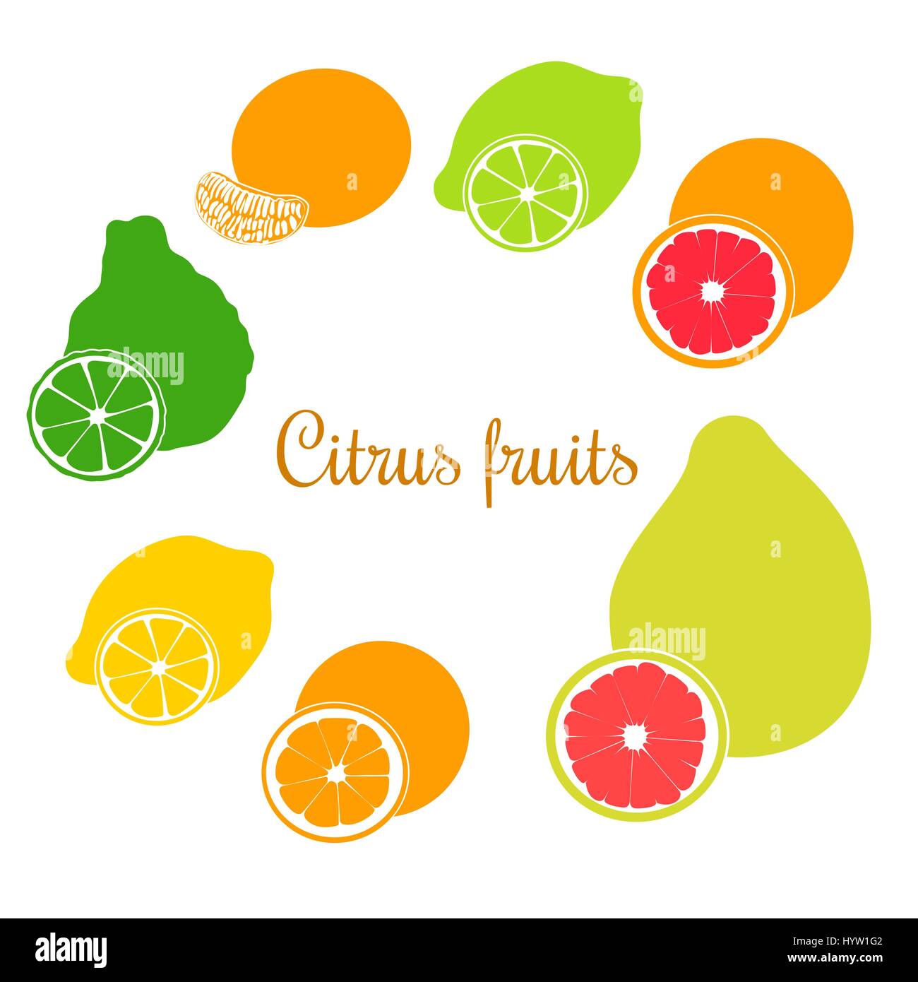 Collection of Flat citrus products - orange, lemon, lime, bergamot, mandarin, grapefruit, pomelo. Vector set of whole fruits and slices. for cosmetics Stock Vector