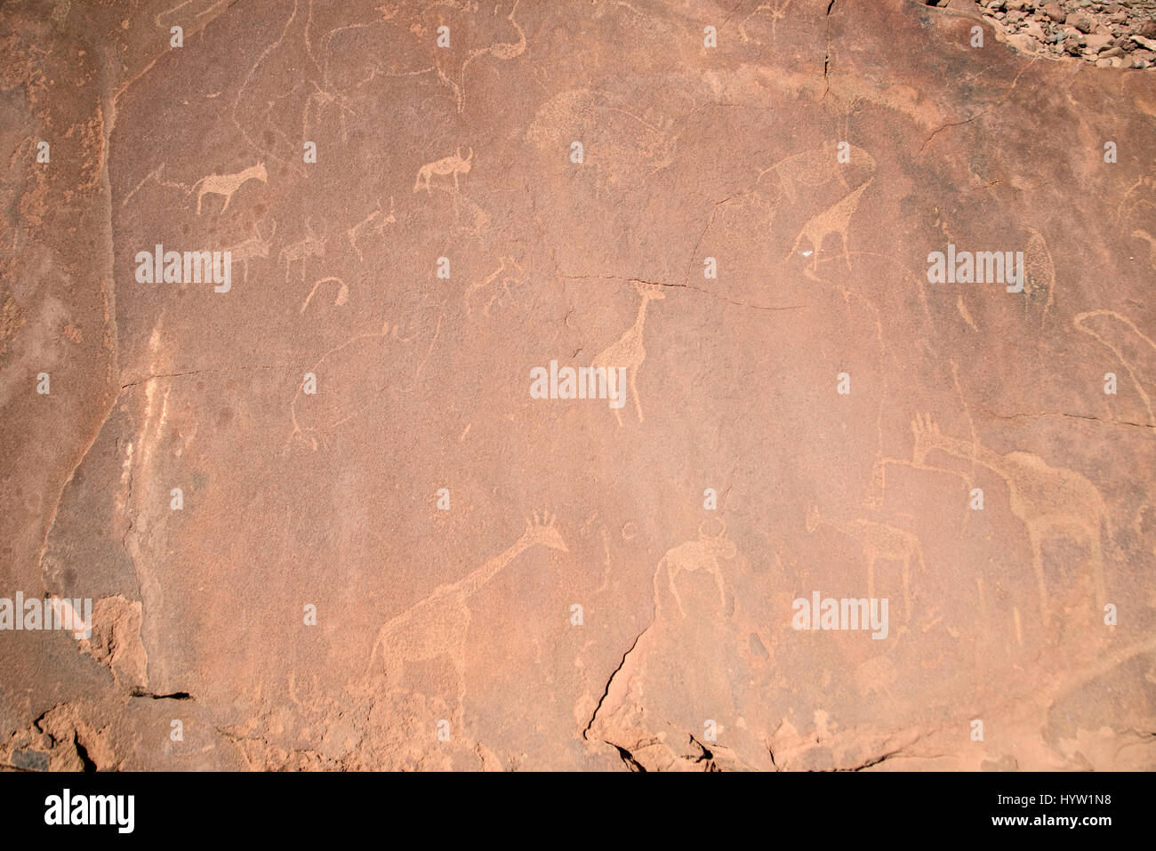 Prehistoric Rock Carvings, Twyfelfontein, Damaraland, Namibia. Stock Photo