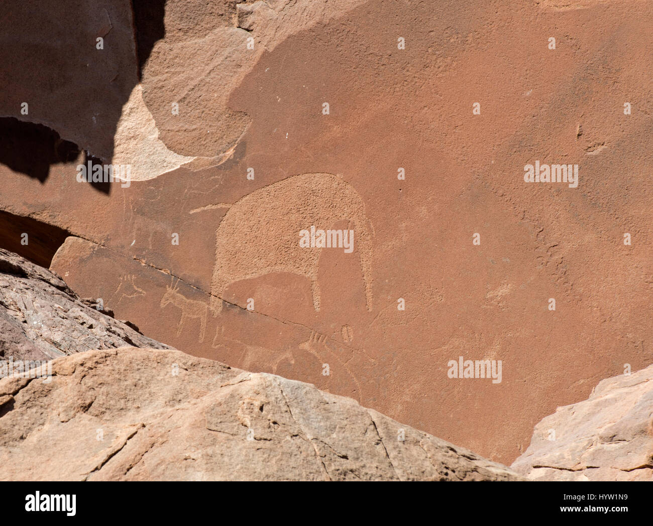 Prehistoric Rock Carvings, Twyfelfontein, Damaraland, Namibia. Stock Photo