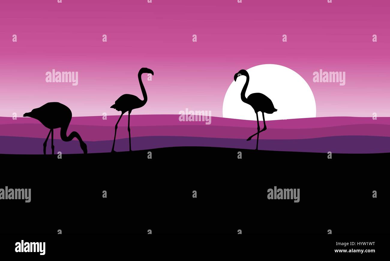 Flamingo with pink background scenery Stock Vector Image & Art - Alamy