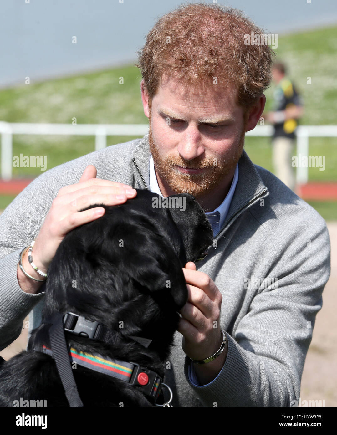 Prince Harry with Jester the dog, as he watches the UK team trials for
