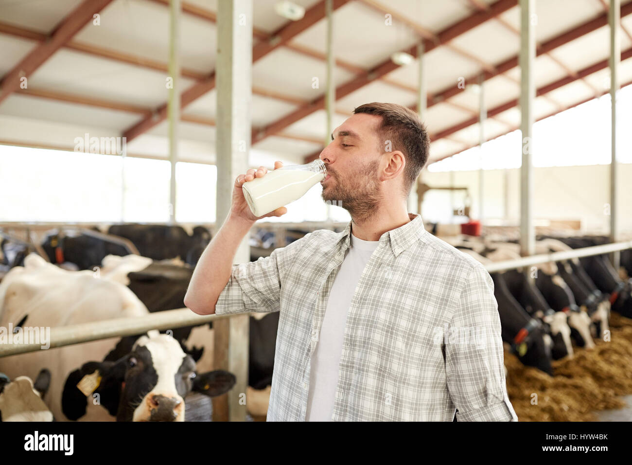 сельское хозяйство молоко. сельское хозяйство молоко. корова с бидоном. корова молоко. сбор молока.