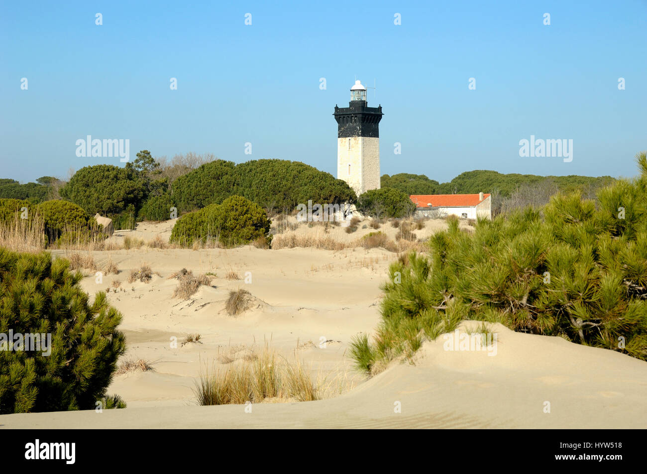 Espiguette Beach or Plage d'Espiguette and Lighthouse at Le Grau-du-Roi Camargue Gard France Stock Photo