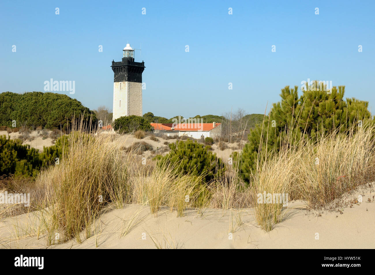 Espiguette Beach or Plage d'Espiguette and Lighthouse at Le Grau-du-Roi Camargue Gard France Stock Photo
