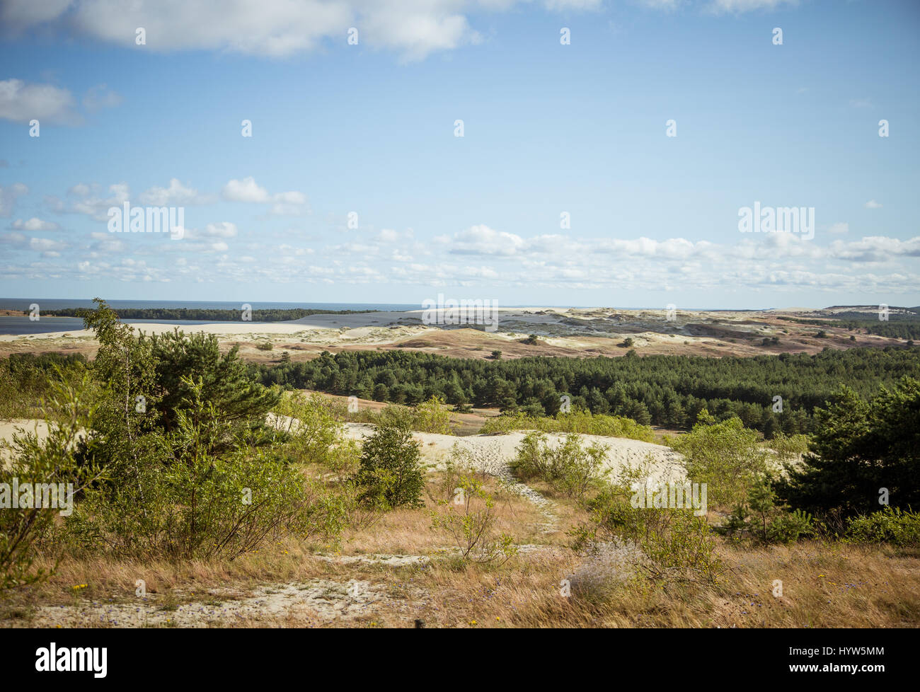 A beautiful sand dunes in a Neringa National park Stock Photo