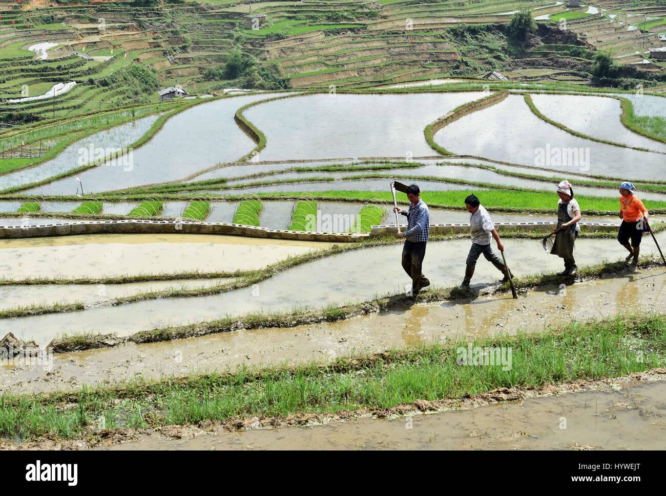 Miao yao hi-res stock photography and images - Alamy
