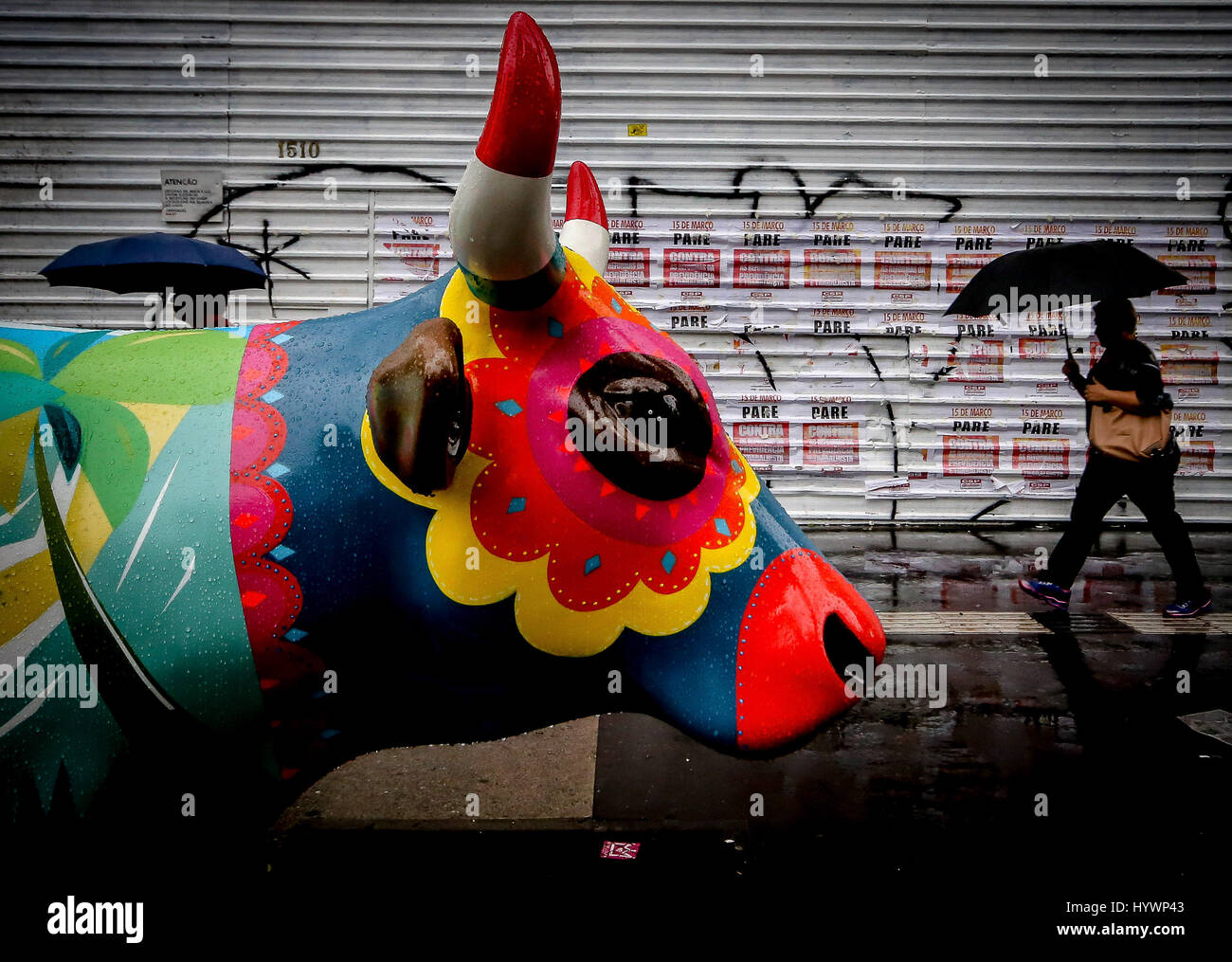 Pascal Cow Pascal knapp hi-res stock photography and images - Alamy