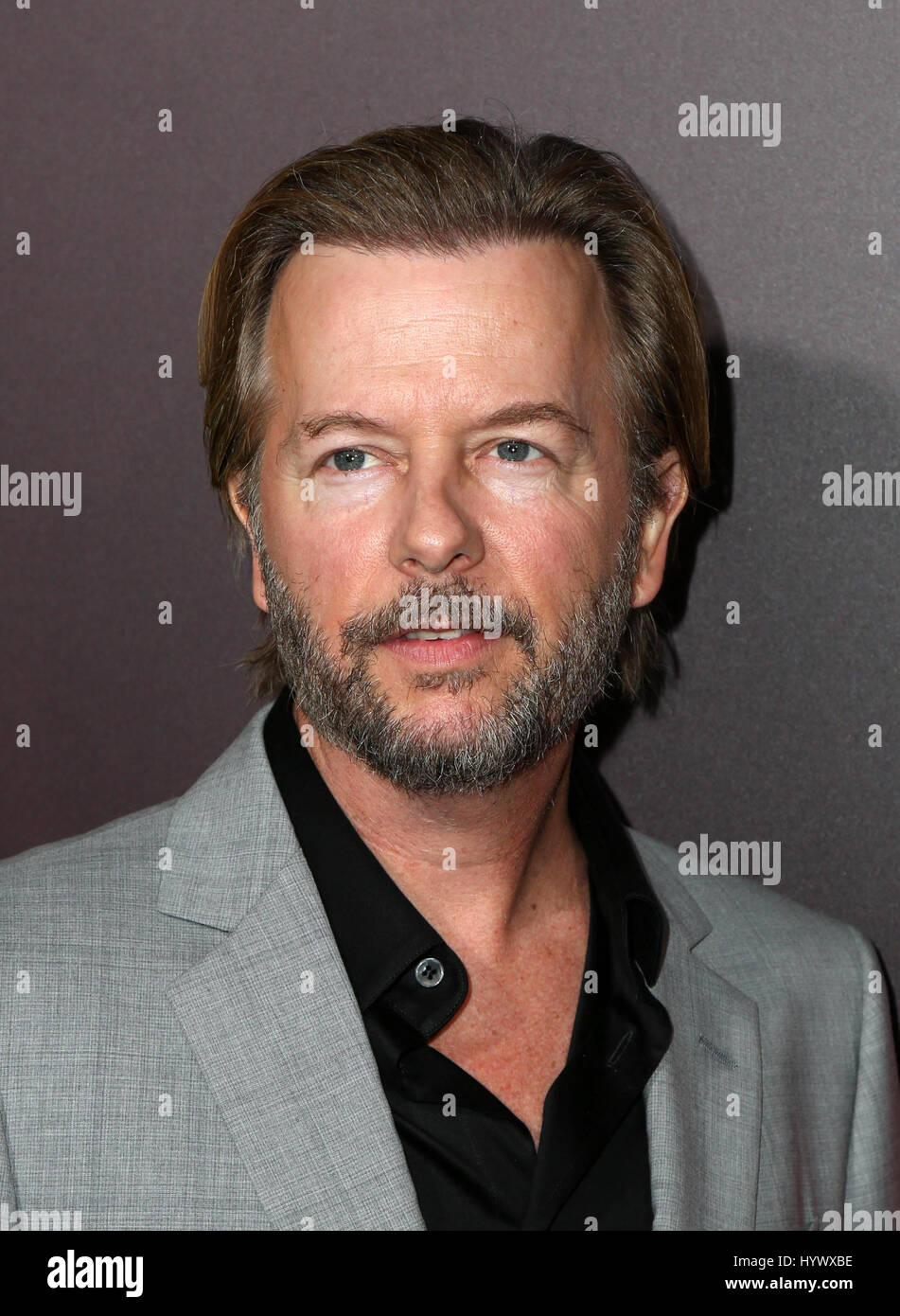 Hollywood, USA. 06th Apr, 2017. David Spade, at Premiere of Netflix's 'Sandy Wexler at The ArcLight Cinemas Cinerama Dome in California on April 06, 2017. Credit: Fs/Media Punch/Alamy Live News Stock Photo