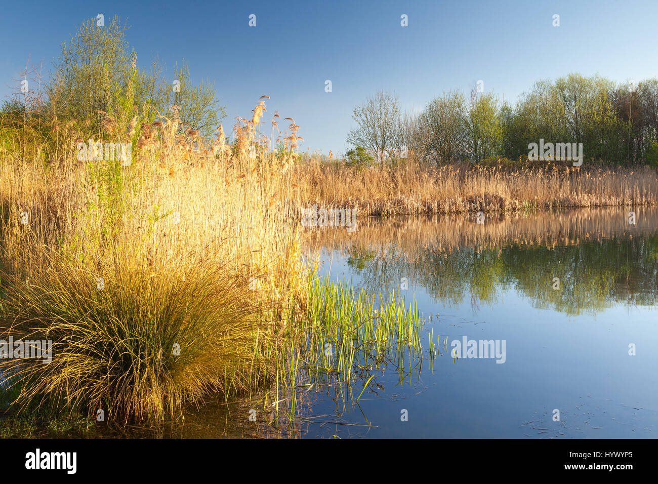 Waters' Edge Country Park, BartonuponHumber, North Lincolnshire, UK
