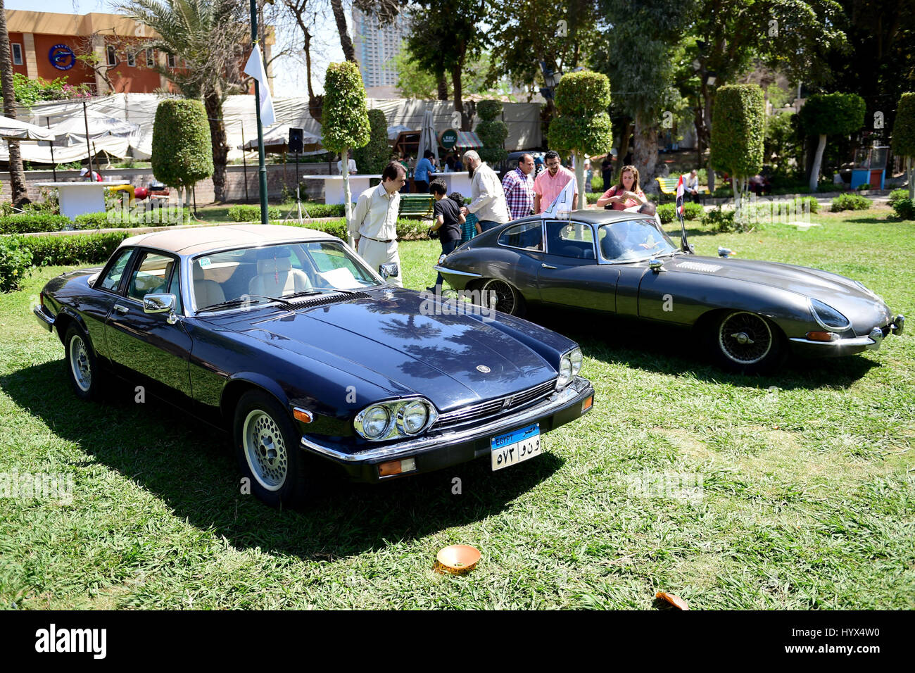 Cairo, Egypt. 7th Apr, 2017. Two vintage Jaguar cars are seen during