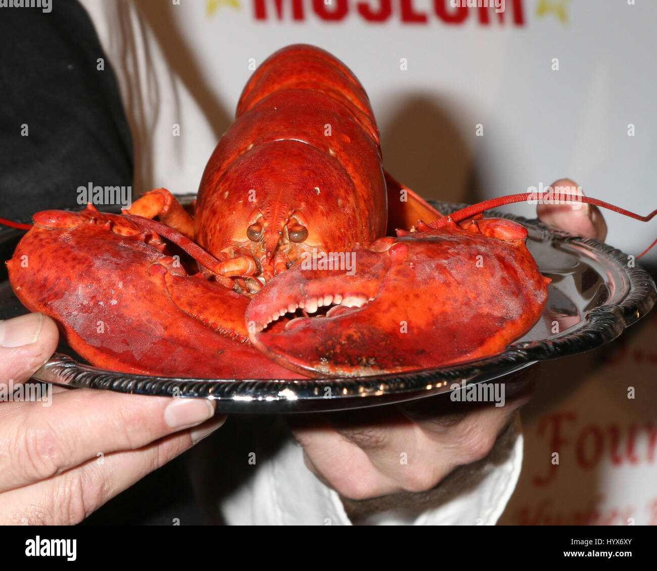Los Angeles, CA, USA. 26th Feb, 2017. LOS ANGELES - FEB 26: Lobster at the Style Hollywood Oscar Viewing Dinner at Hollywood Museum on February 26, 2017 in Los Angeles, CA Credit: Kathy Hutchins/via ZUMA Wire/ZUMA Wire/Alamy Live News Stock Photo