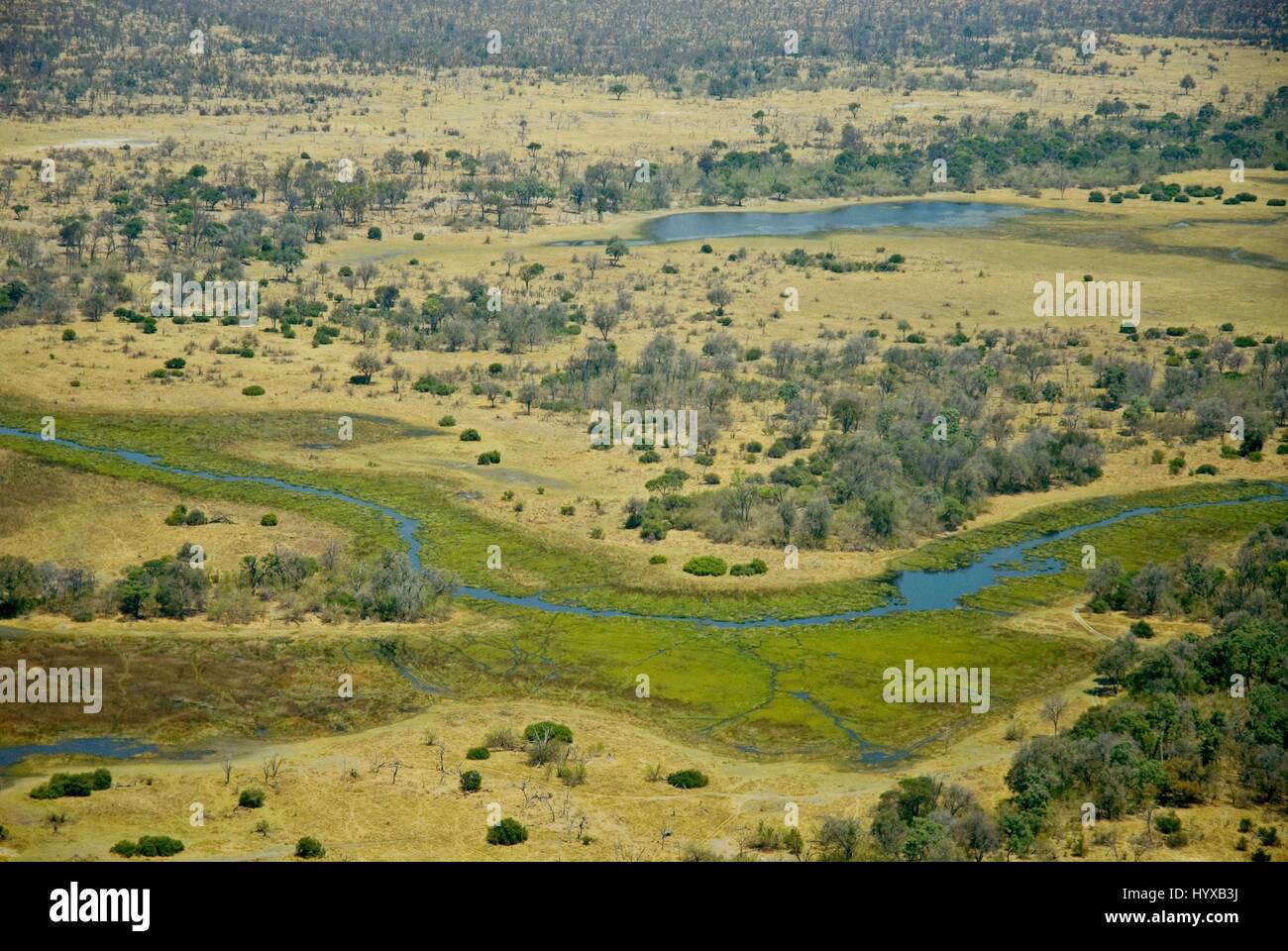 Africa, Botswana, Okavango Delta Stock Photo