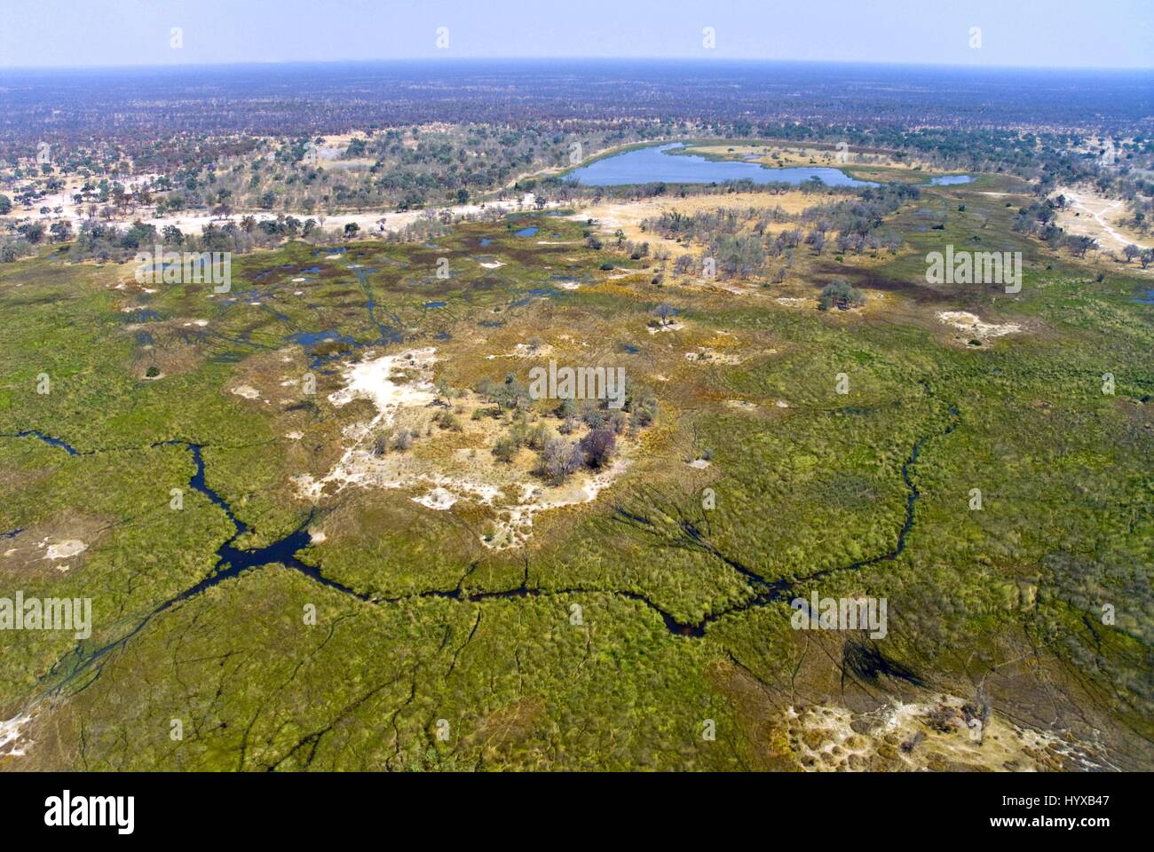 Africa, Botswana, Okavango Delta Stock Photo
