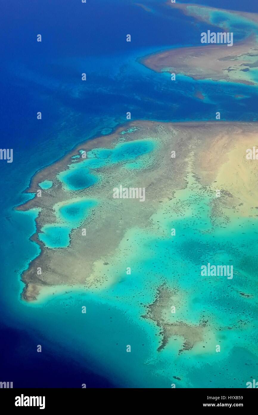 Africa, Egypt, Sinai, Red Sea, coral reef Stock Photo