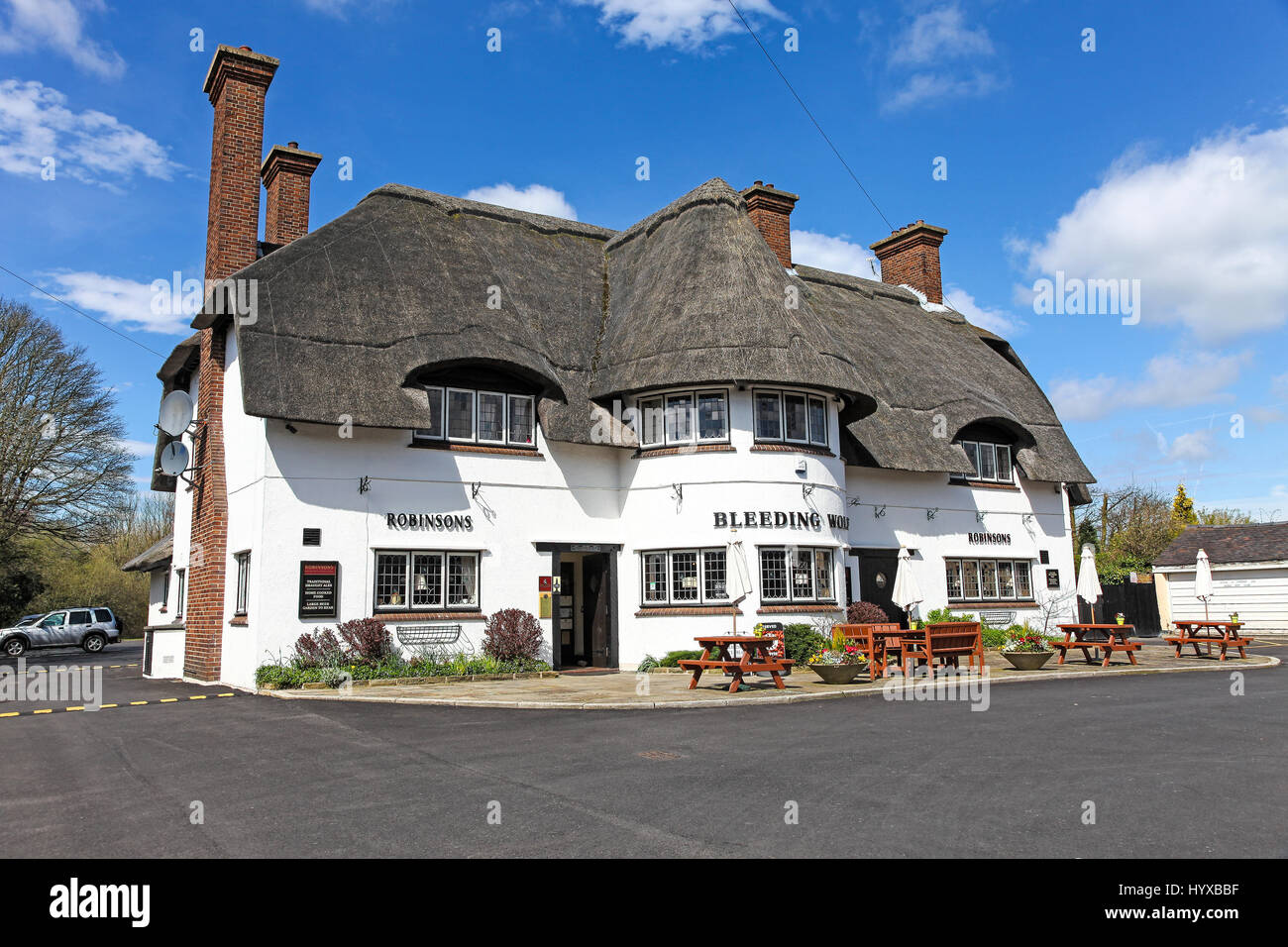 The Bleeding Wolf is a Grade II listed public house or pub run by Robinsons Brewery, at Congleton Road North, Scholar Green, Cheshire, England UK Stock Photo