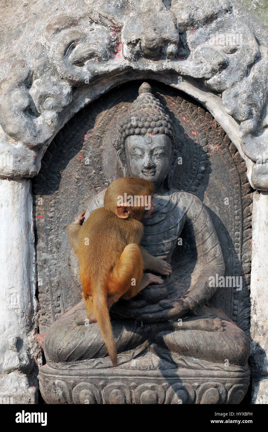 Nepal, Kathmandu, Swayambhunath stupa, Monkey Temple Stock Photo - Alamy