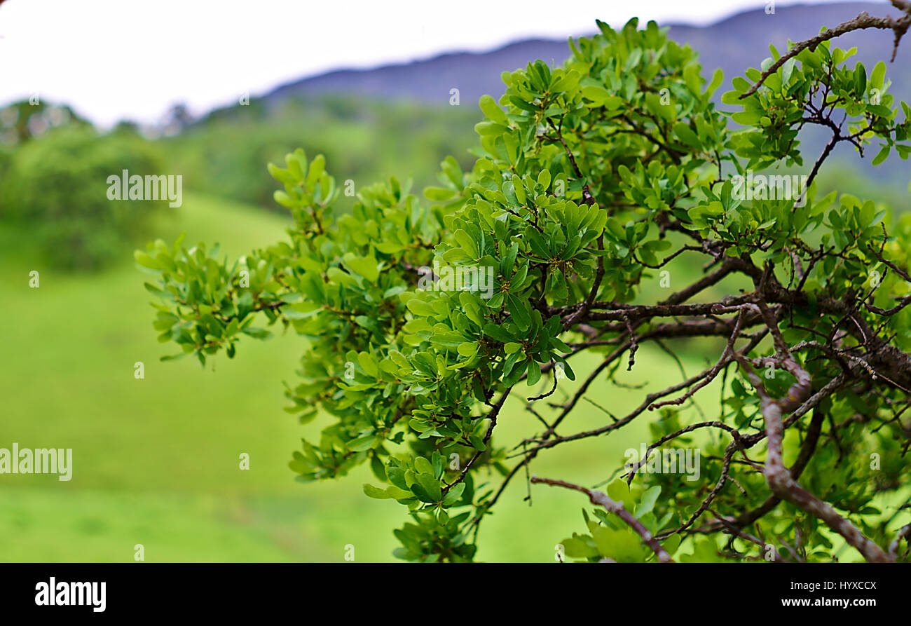 A Walk Around The California Park Nature Trails Stock Photo Alamy