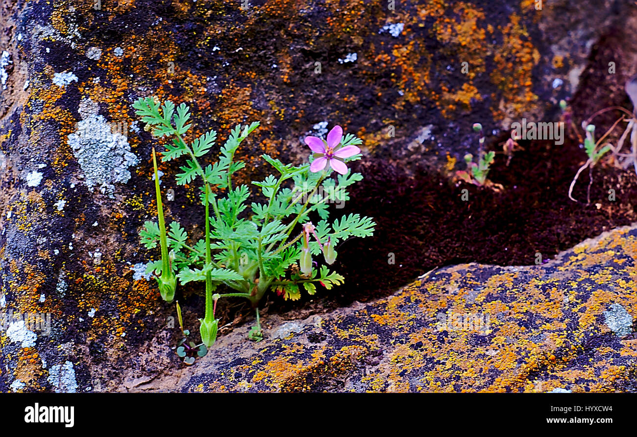A Walk Around The California Park Nature Trails Stock Photo Alamy