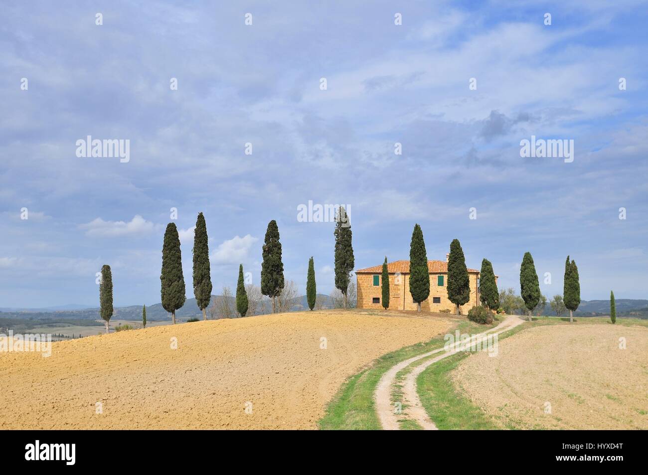 Farmhouse and Cypress trees near Pienza Tuscany Italy Stock Photo - Alamy