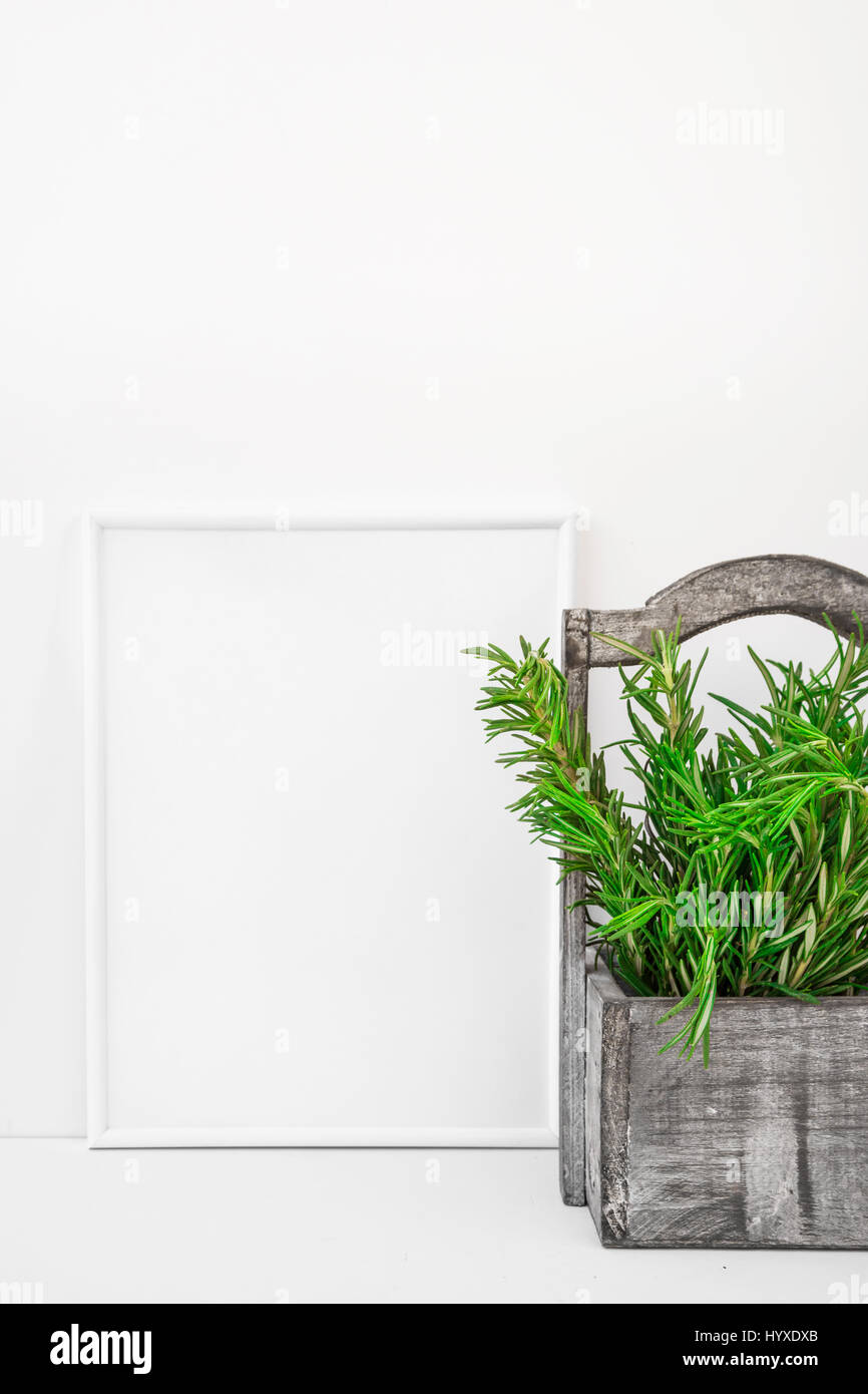 Frame mockup on white background, fresh green rosemary in vintage wood box, Provence style, styled image for blogging, social media, branding Stock Photo