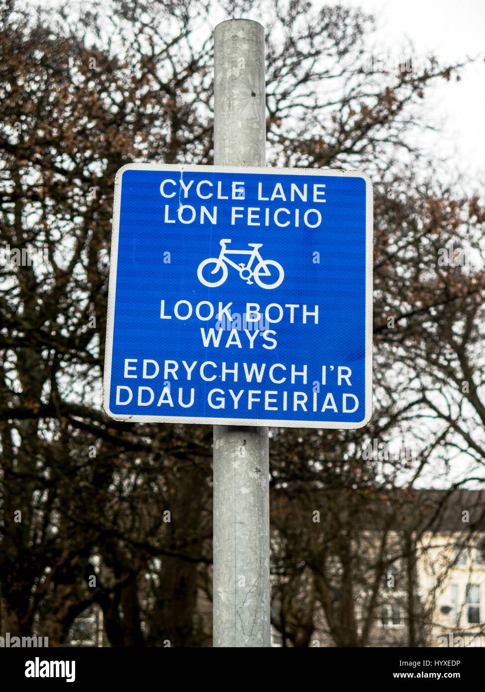 Cycle path warning sign in English and Welsh Stock Photo Alamy