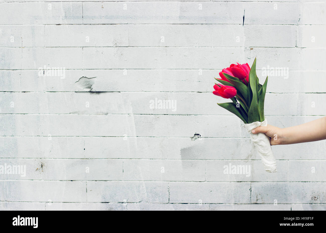 Little girl holding bouquet of red tulips against white brick wall Stock Photo