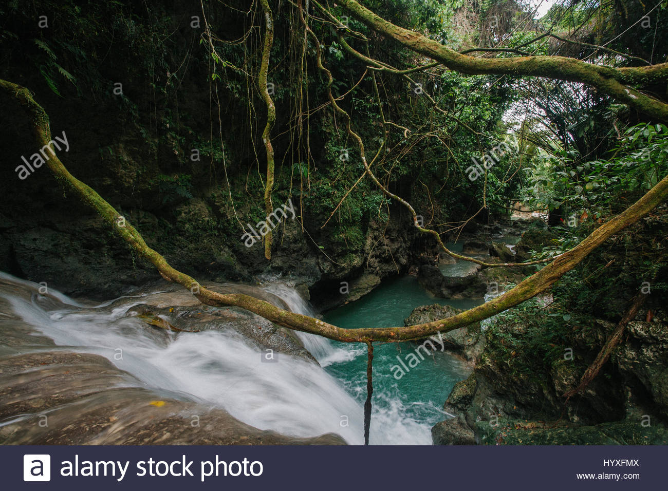 Somerset Waterfalls High Resolution Stock Photography And Images Alamy