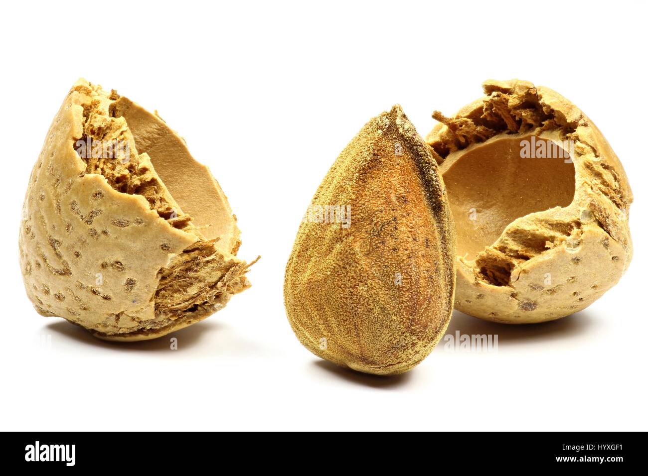 cracked almond isolated on white background Stock Photo