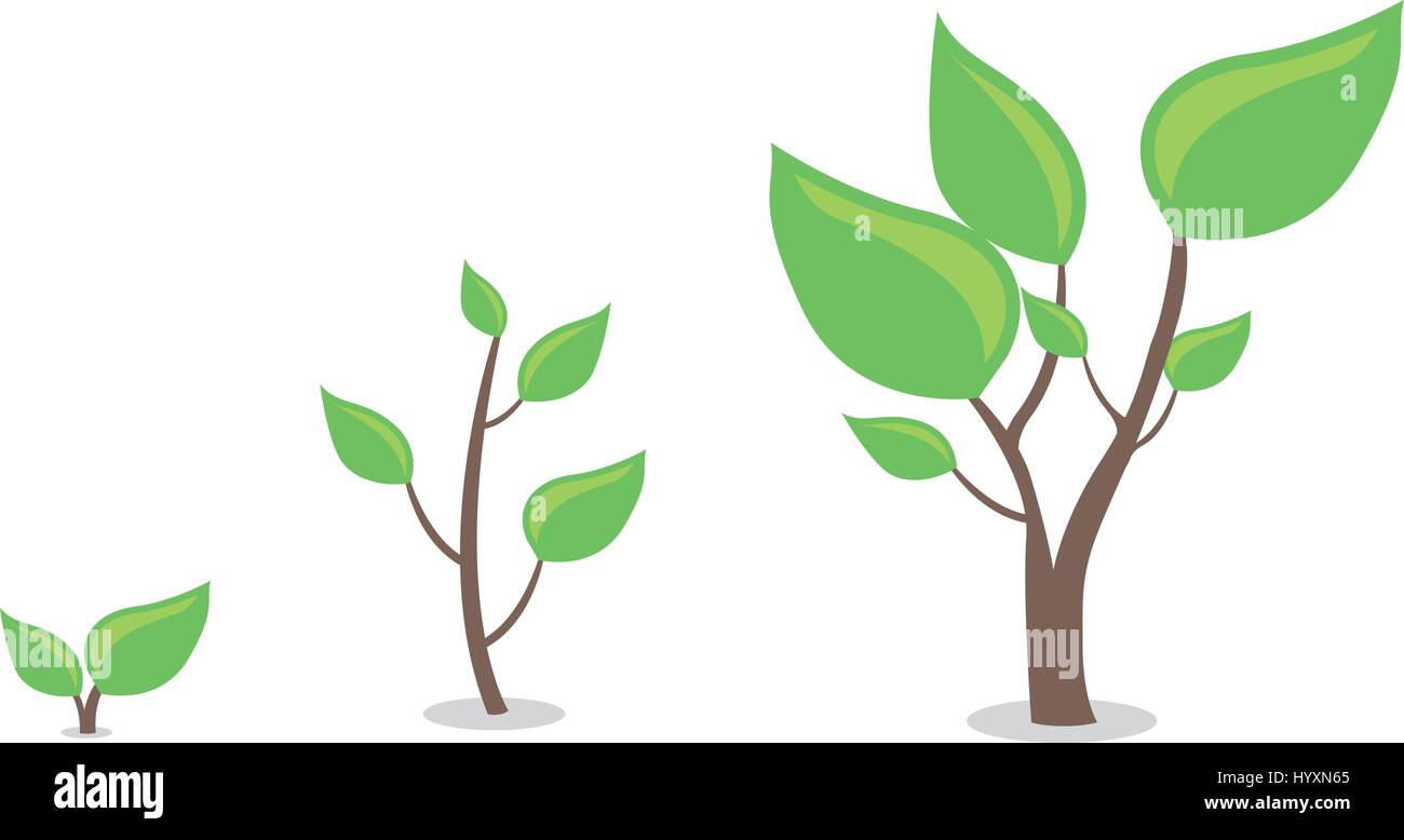 Simple cartoon plants growing Stock Vector Image & Art - Alamy