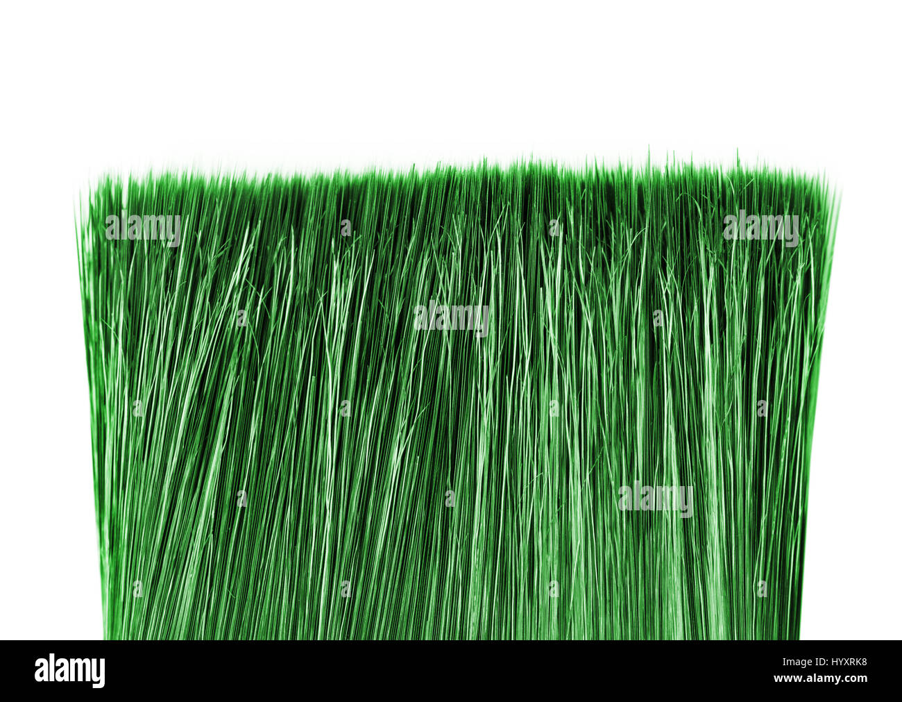 Green grass isolated on white background Stock Photo - Alamy