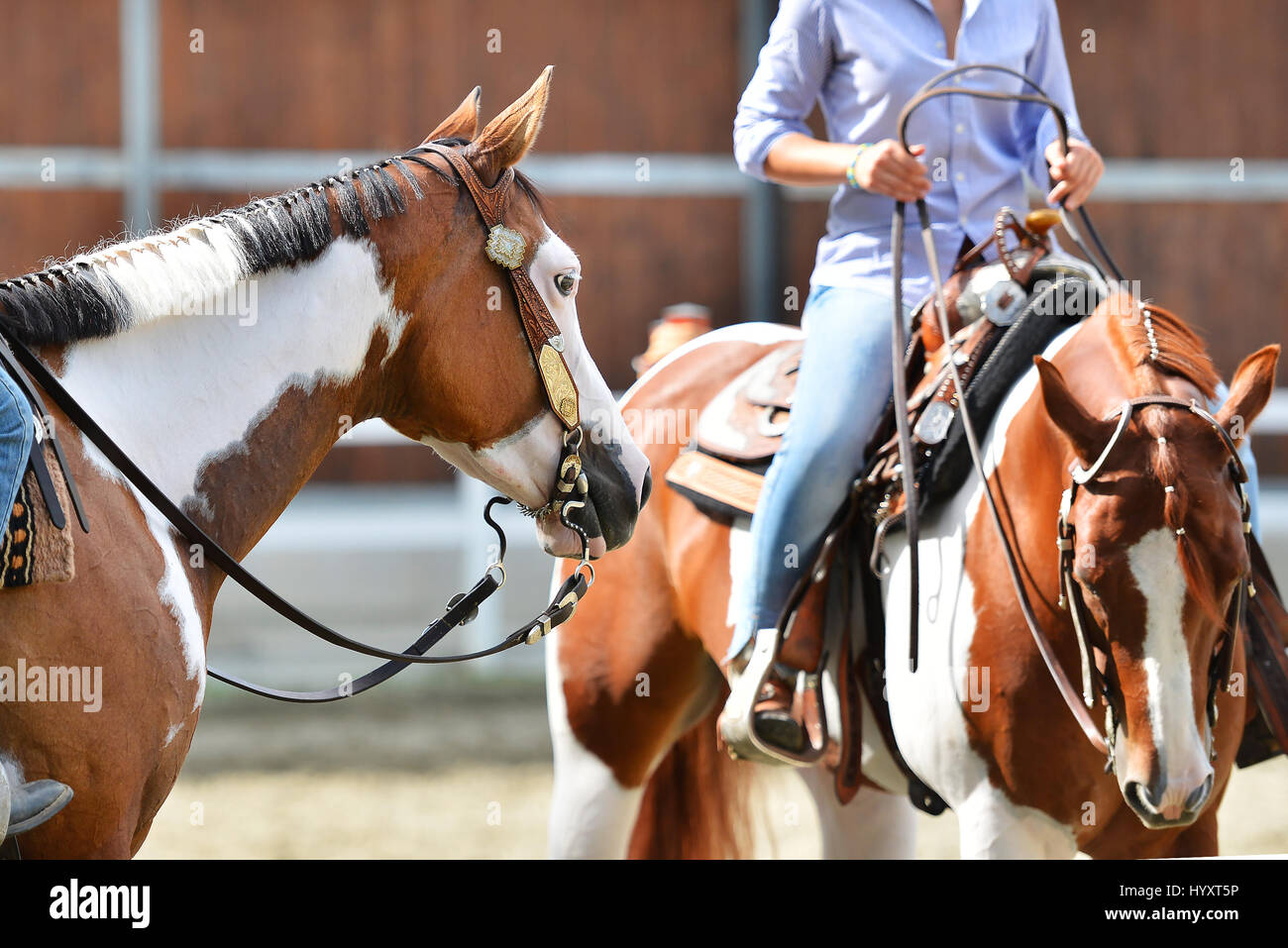Western horse show hires stock photography and images Alamy