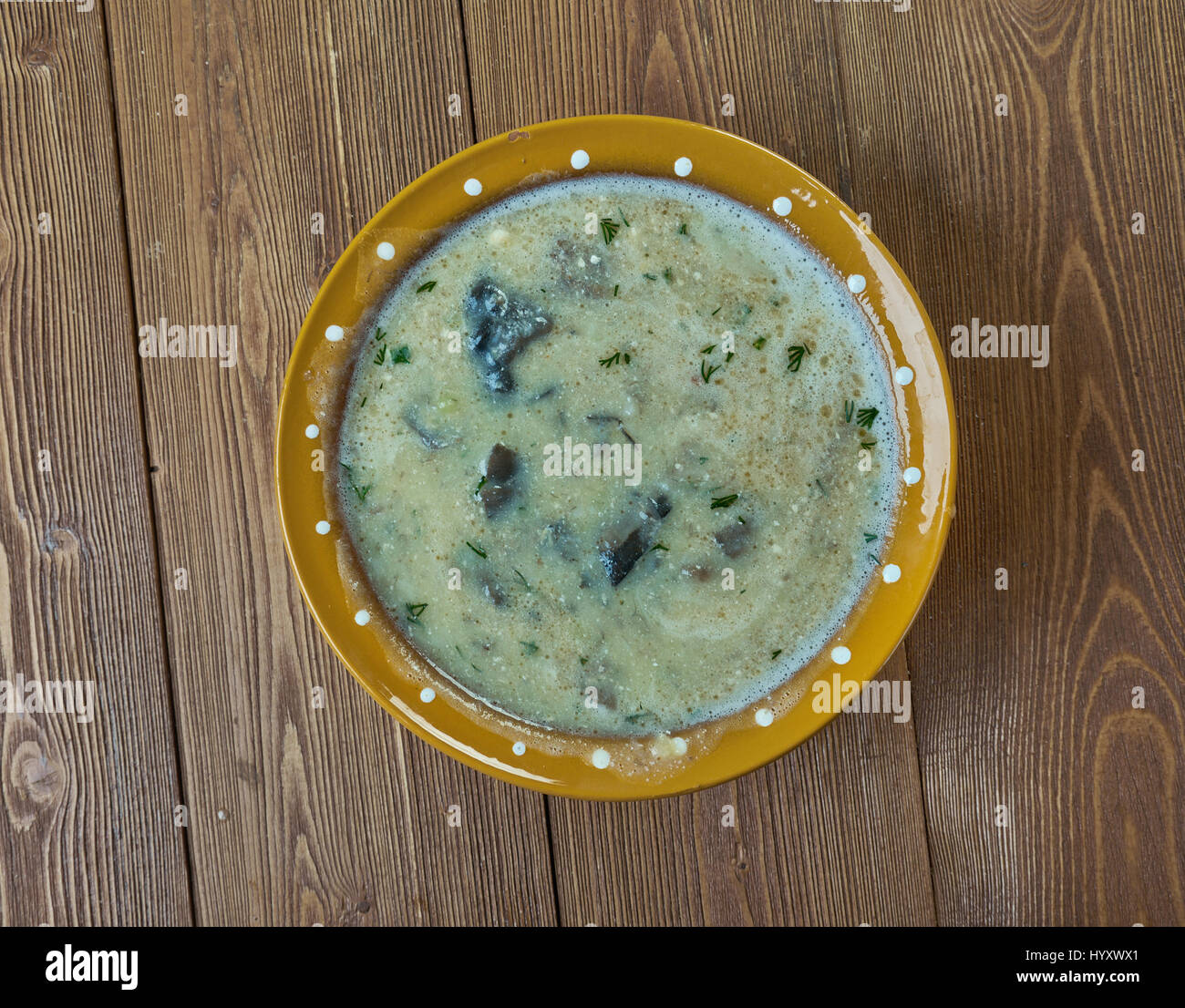 Pilzsuppe German Cream of mushroom soup Stock Photo - Alamy Pilzsuppe German Cream of mushroom soup Stock Photo - Alamy