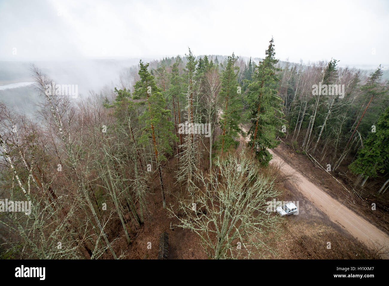 panoramic view of misty rain forest. far horizon Stock Photo - Alamy