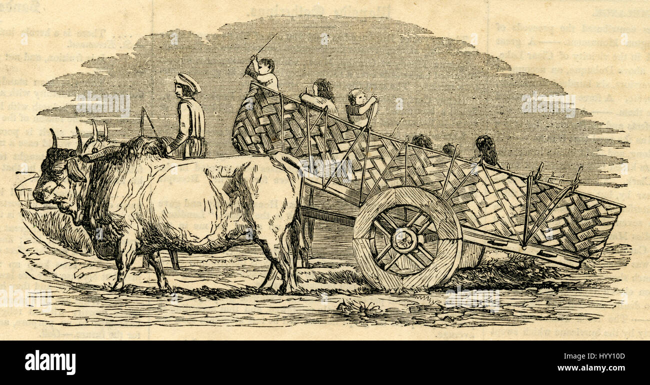 Antique 1854 engraving, 'A Gujarat Village Cart.' SOURCE: ORIGINAL ENGRAVING. Stock Photo