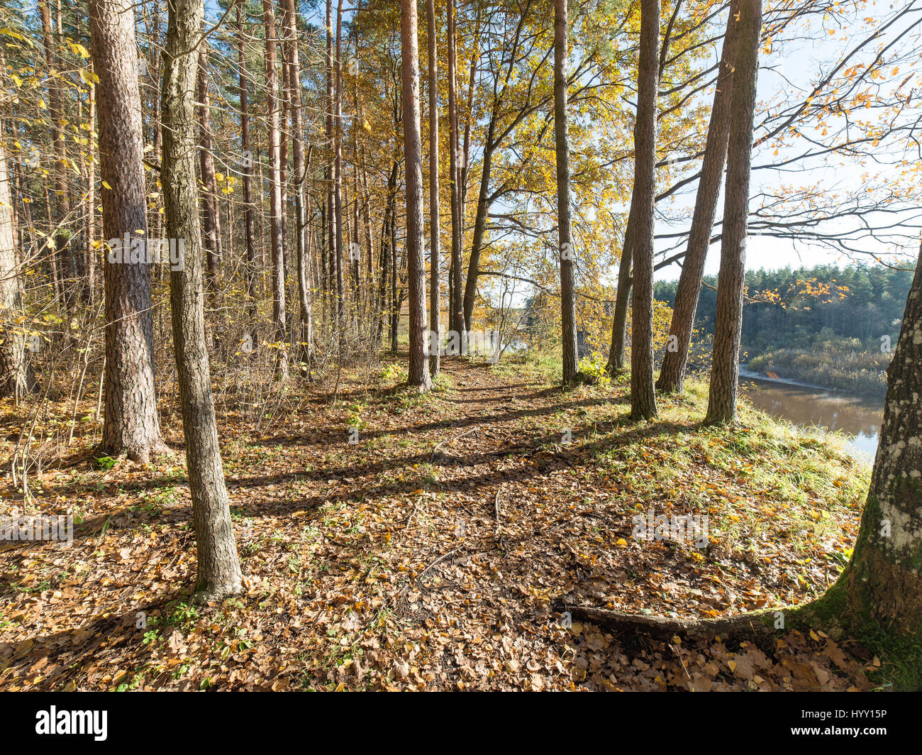 Fall Countryside Trail autumn colored tourism trail in the woods in the countryside Stock ...