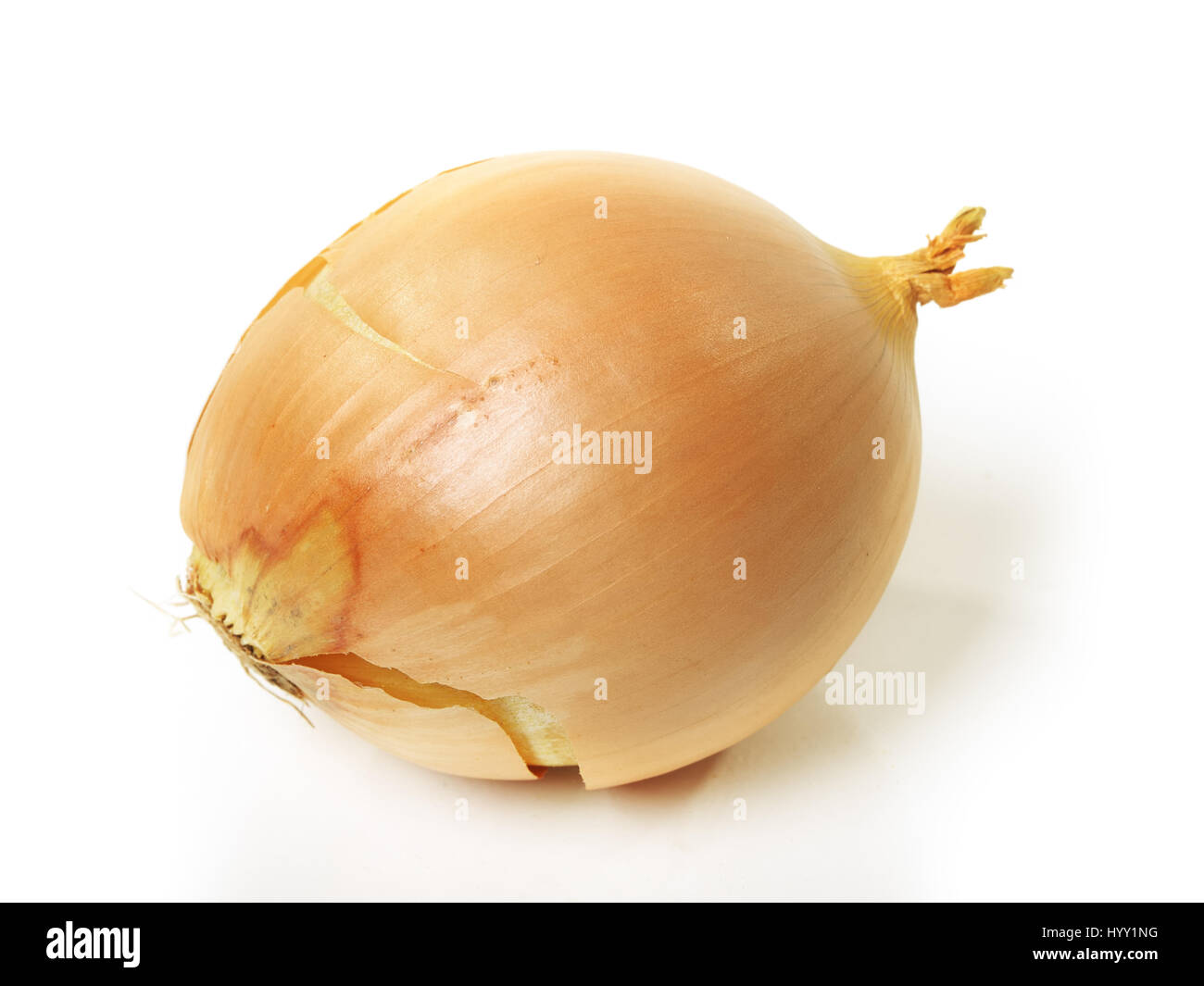 Onion isolated on white background Stock Photo - Alamy