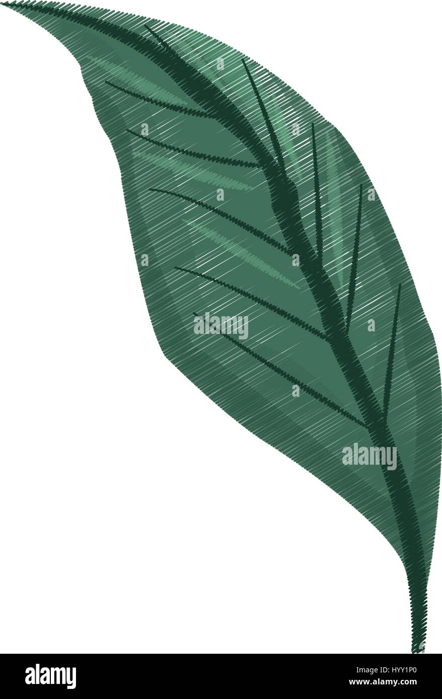 tropical leaf icon image Stock Vector Image & Art - Alamy