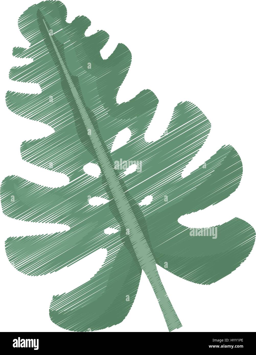 tropical leaf icon image Stock Vector Image & Art - Alamy