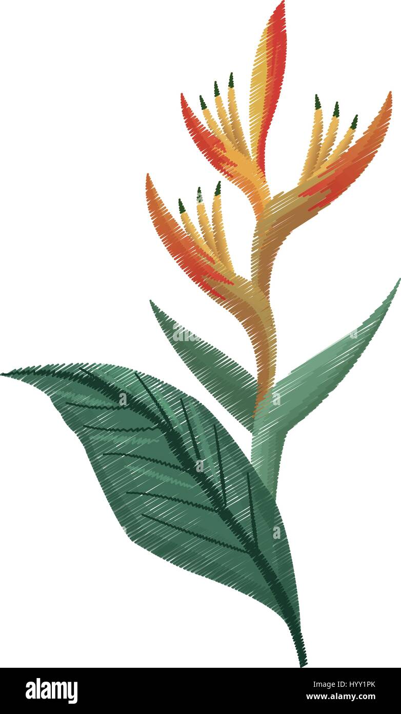 tropical leaf icon image Stock Vector Image & Art - Alamy