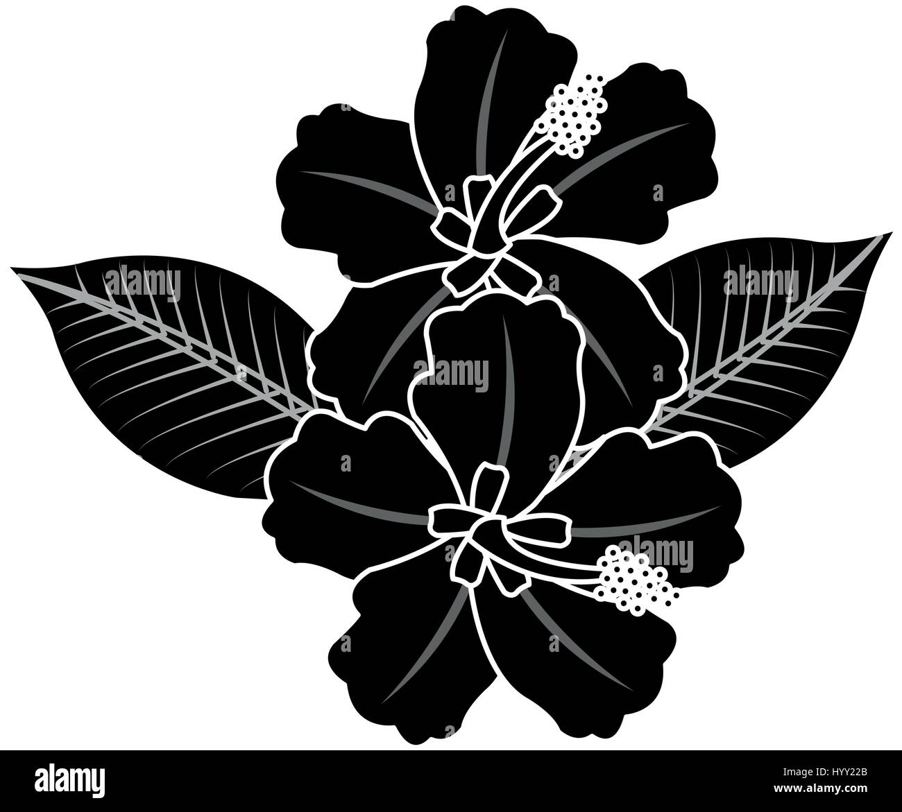 tropical flower icon image Stock Vector Image & Art - Alamy