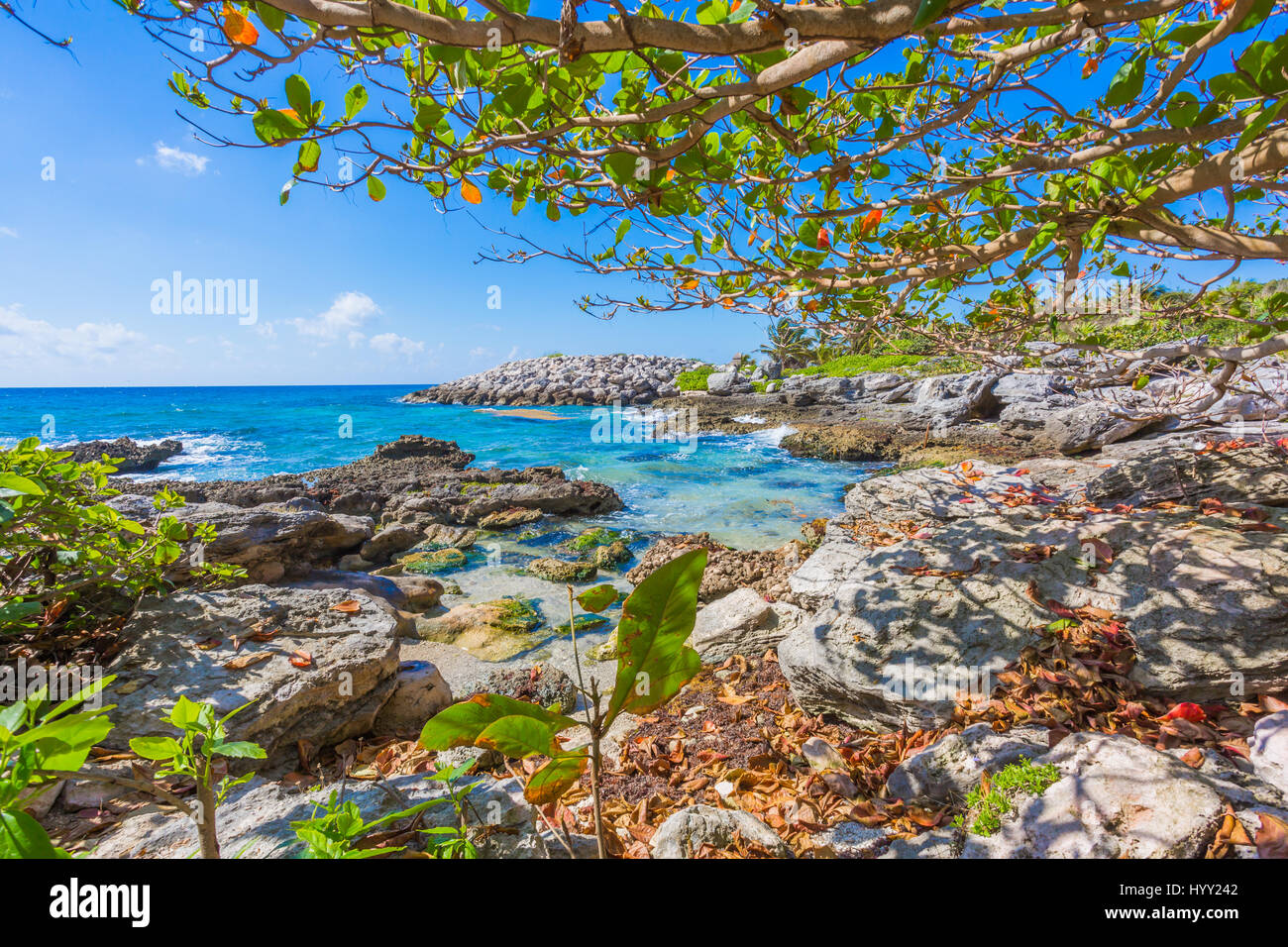 Tropical beach in caribbean sea, Cancun, Mexico Stock Photo