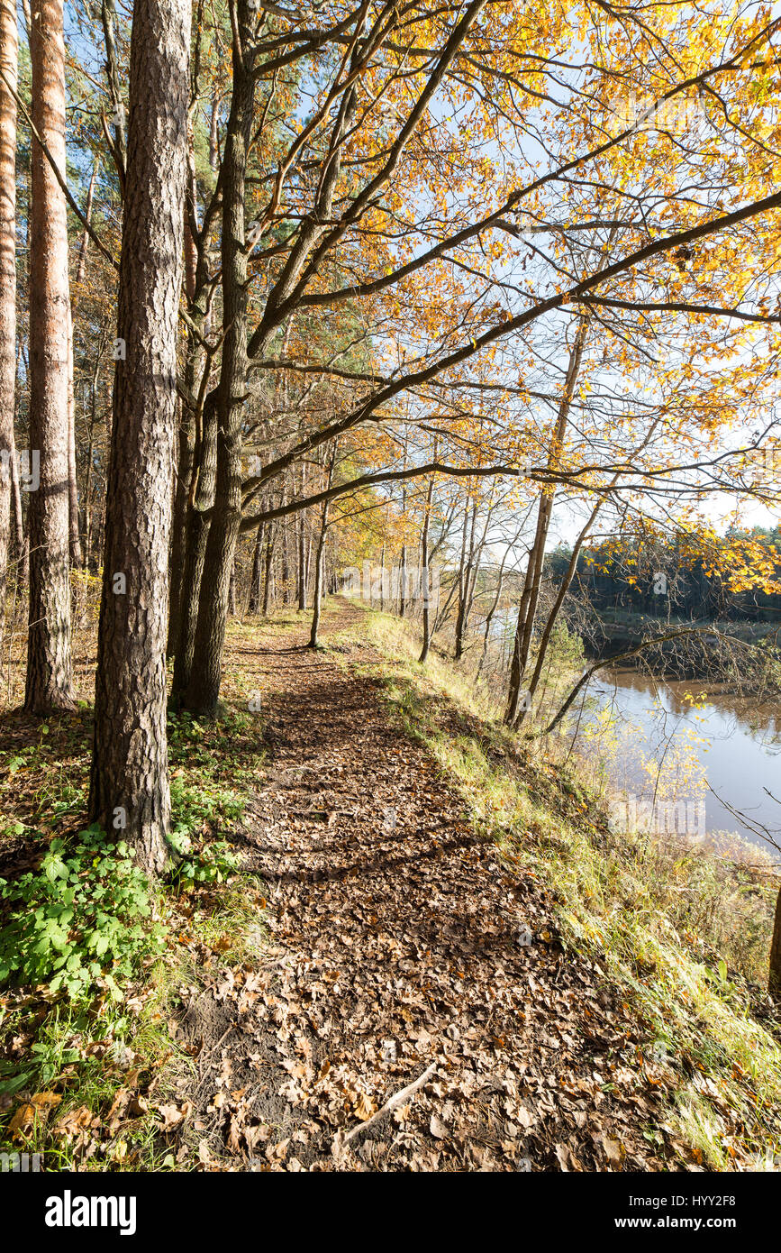 Fall Countryside Trail autumn colored tourism trail in the woods in the countryside Stock ...
