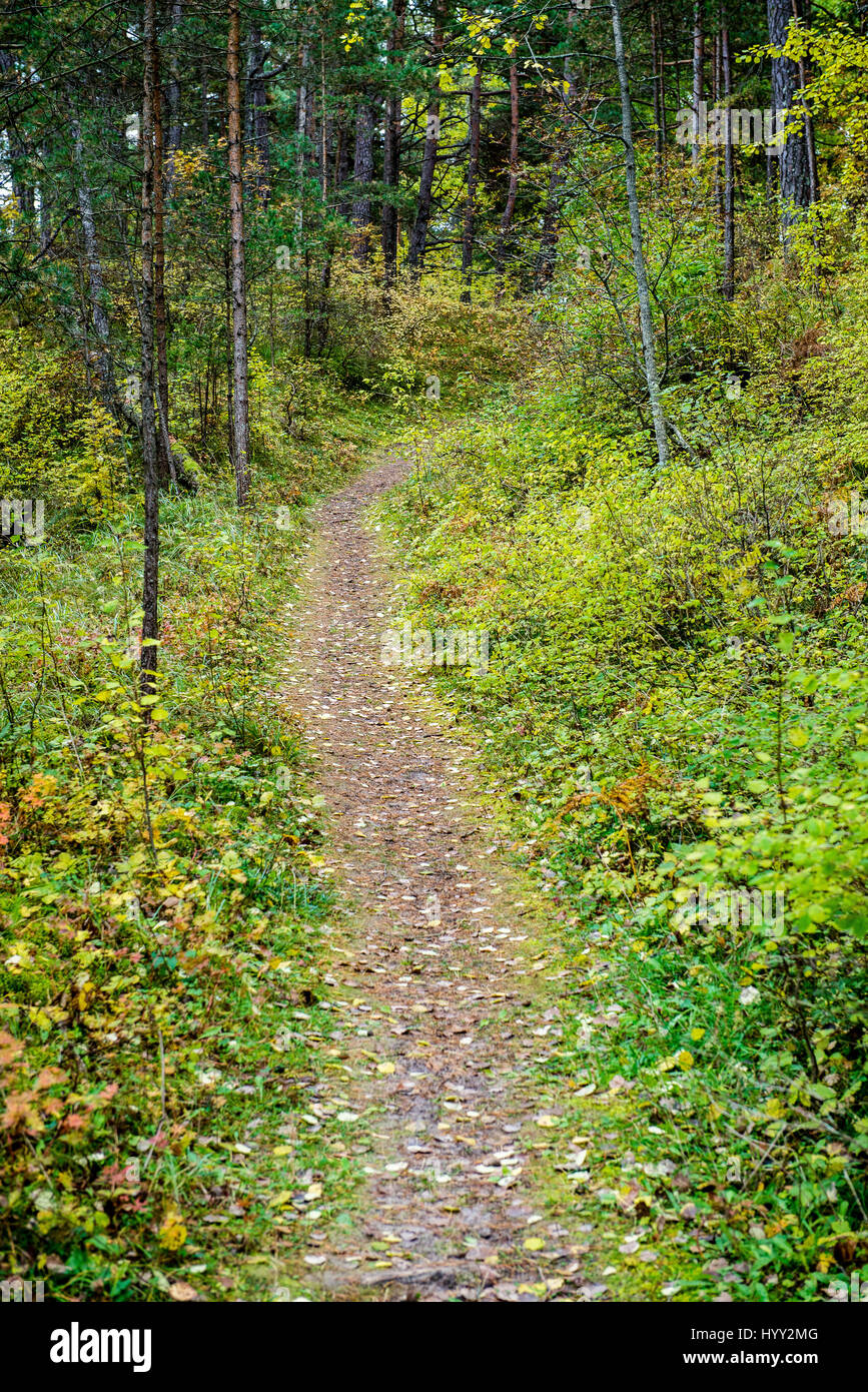 Fall Countryside Trail sunny tourist trail in the woods in autumn at the countryside Stock ...