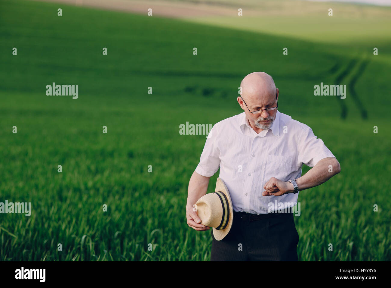Old man in field stock photo alamy