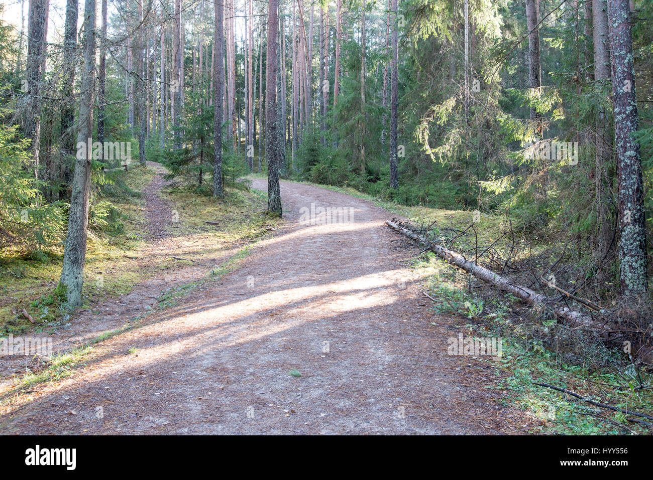 Fall Countryside Trail autumn colored tourism trail in the woods in the countryside Stock ...