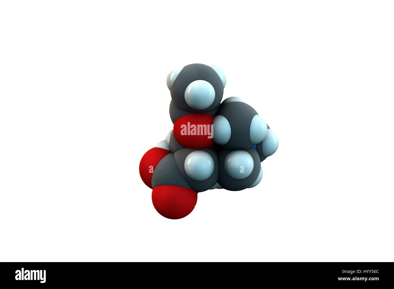 Acetylcarnitine (ALCAR) nutritional supplement molecule. Chemical formula is C9H18NO4. Atoms are represented as spheres: carbon (grey), hydrogen (white), nitrogen (blue), oxygen (red). Illustration. Stock Photo